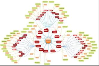 �齫������ô����Ƶ���й�����칫��������Ժ�칫��ӡ�����������ع��ڹ���Ӵ������涨��...